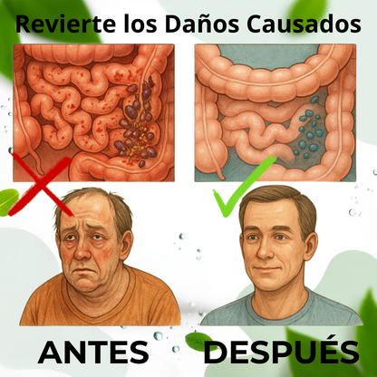 Seravia® Detox Total